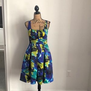 Calvin Klein Painted Pleated Dress